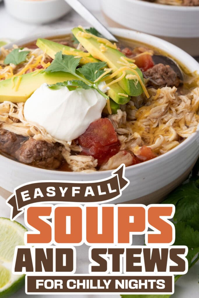 fall soups and stews -Slow Cooker Chicken and Beef Taco Soup copy