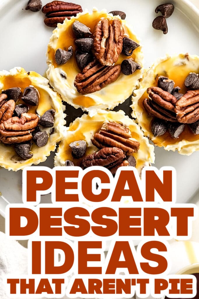 pecan dessert ideas - no bake mini turtle cheesecake copy