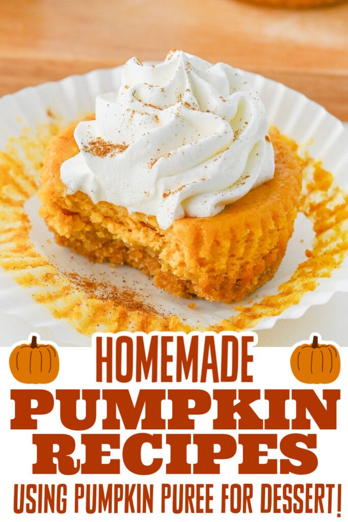 pumpkin recipes using pumpkin puree - Mini Pumpkin Cheesecakes copy