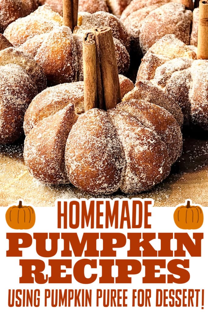 pumpkin recipes using pumpkin puree - Pumpkin Donuts copy