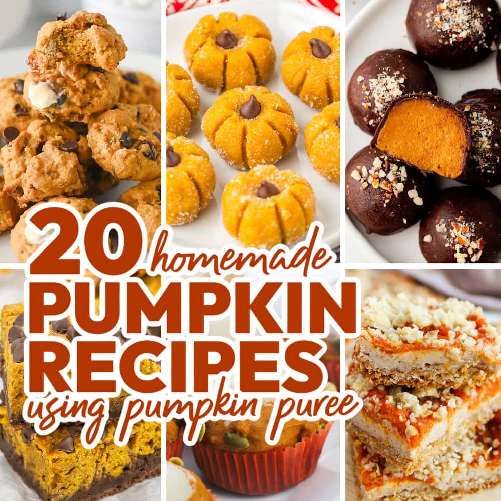 pumpkin recipes using pumpkin puree featured image