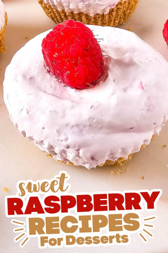 sweet raspberry recipes - Mini No-Bake Raspberry Cheesecakes