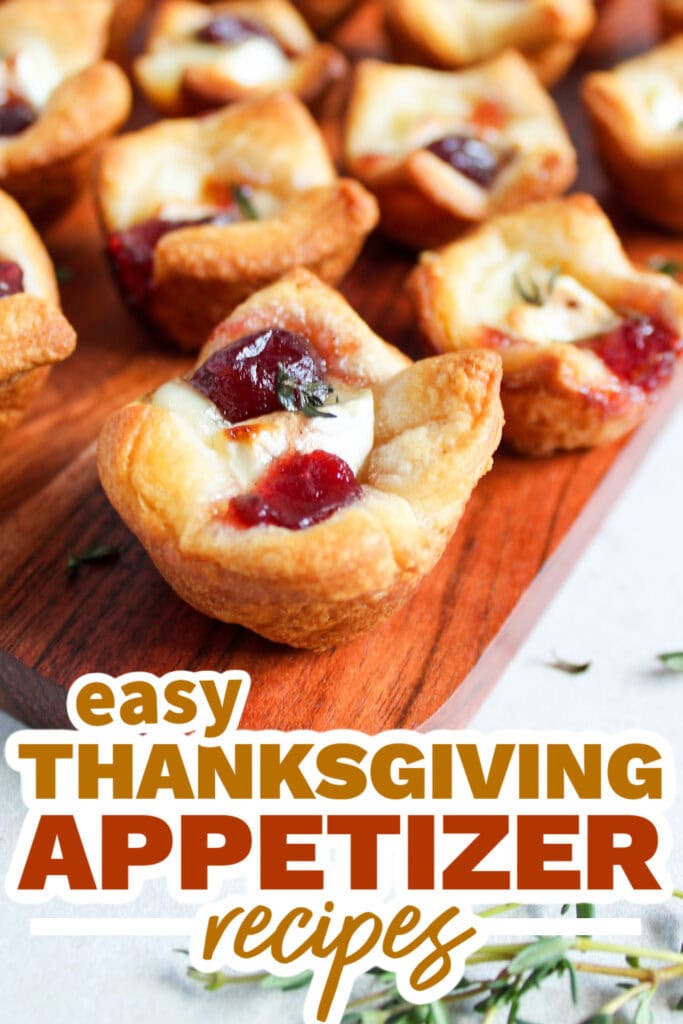 thanksgiving appetizer recipes - Cranberry Brie Bites