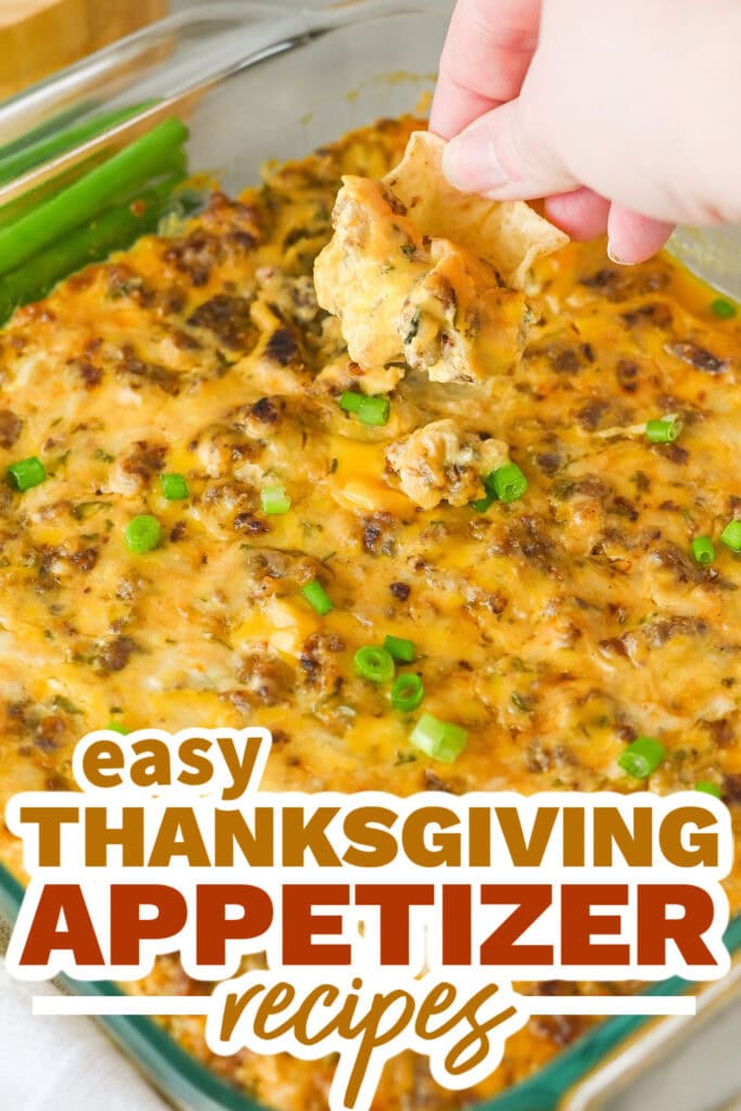 thanksgiving appetizer recipes - Hissy Fit Dip