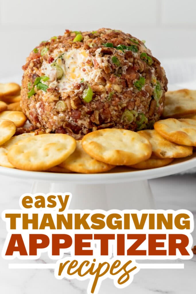 thanksgiving appetizer recipes - Pecan Bacon Cheeseball