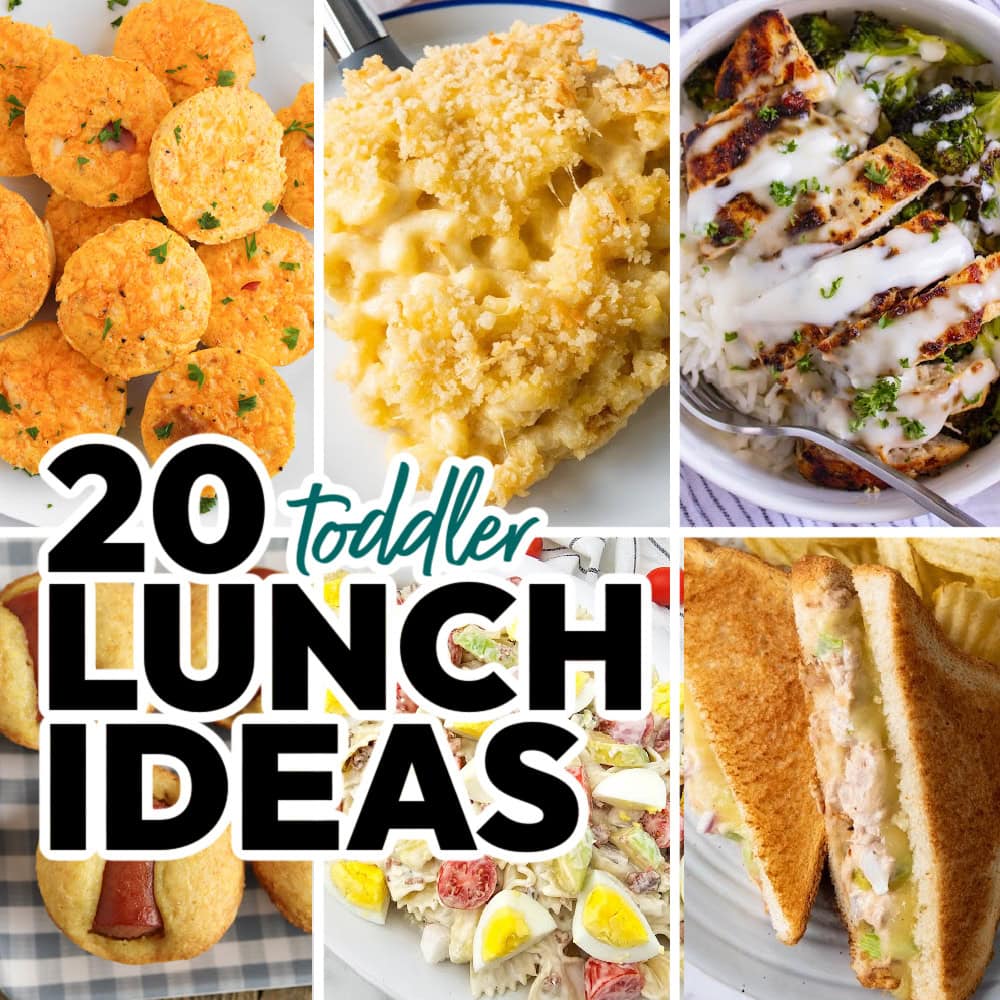 toddler lunch ideas featured image