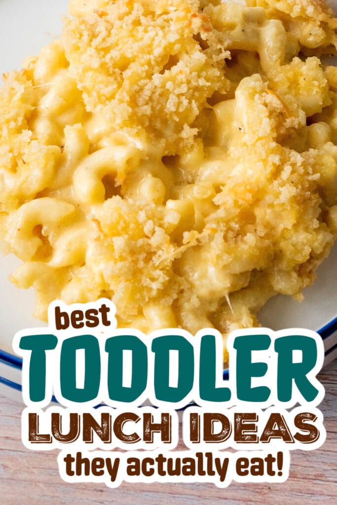 toddler lunch recipes - Creamy Baked Mac and Cheese