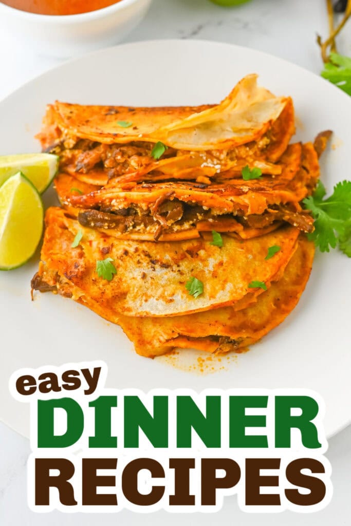 Easy Dinner Ideas-Crockpot Birria Tacos