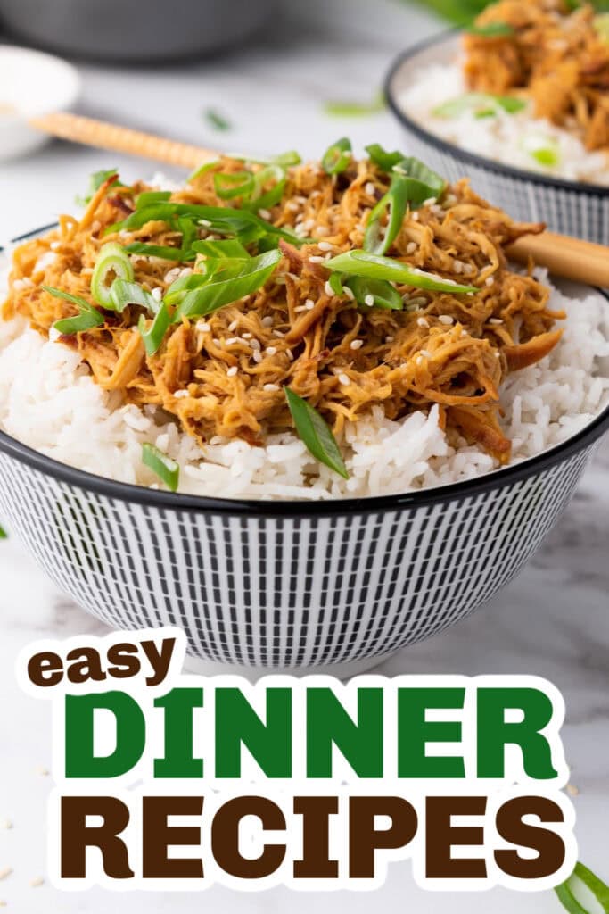Easy Dinner Ideas-Crockpot Soy Honey Garlic Chicken