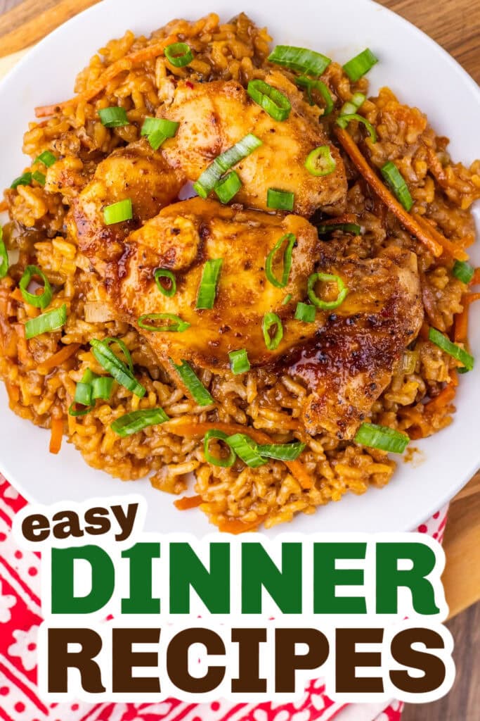 Easy Dinner Ideas-One Pan Japanese BBQ Chicken And Rice