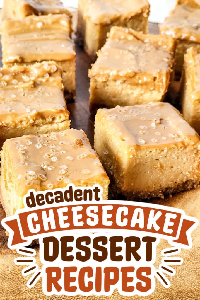 cheesecake recipes -Mini Dulce de Leche Cheesecake Squares