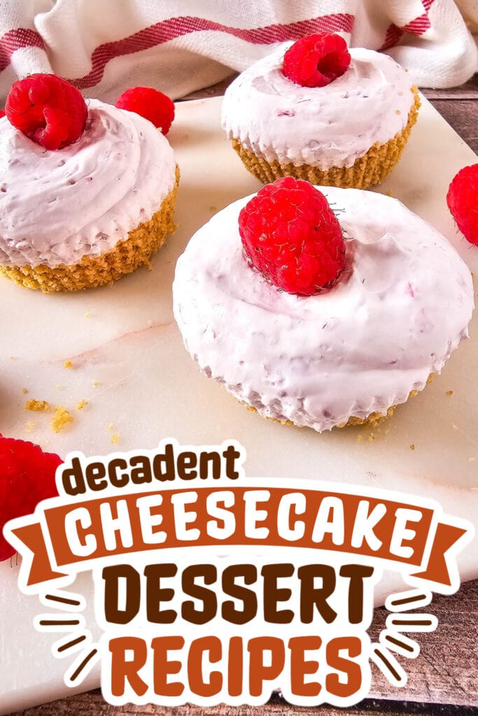 cheesecake recipes -Mini No-Bake Raspberry Cheesecakes