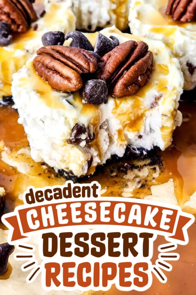 cheesecake recipes - no bake turtle cheesecake