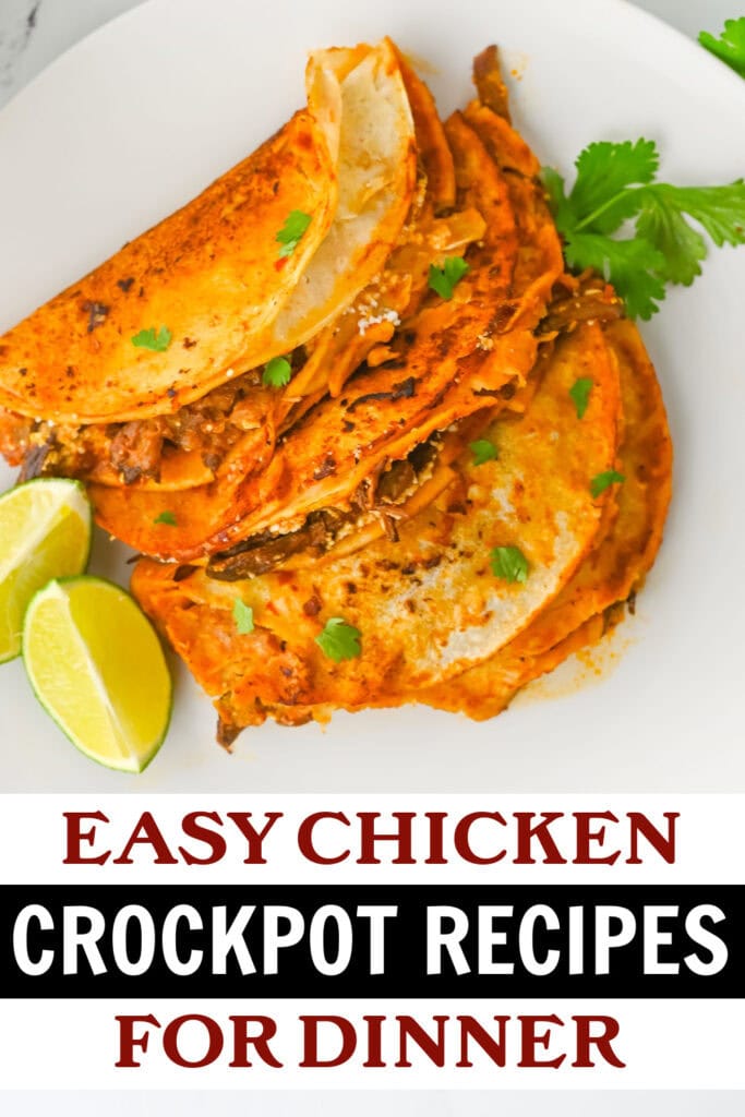 chicken crockpot recipes - Crockpot Chicken Birra Tacos copy