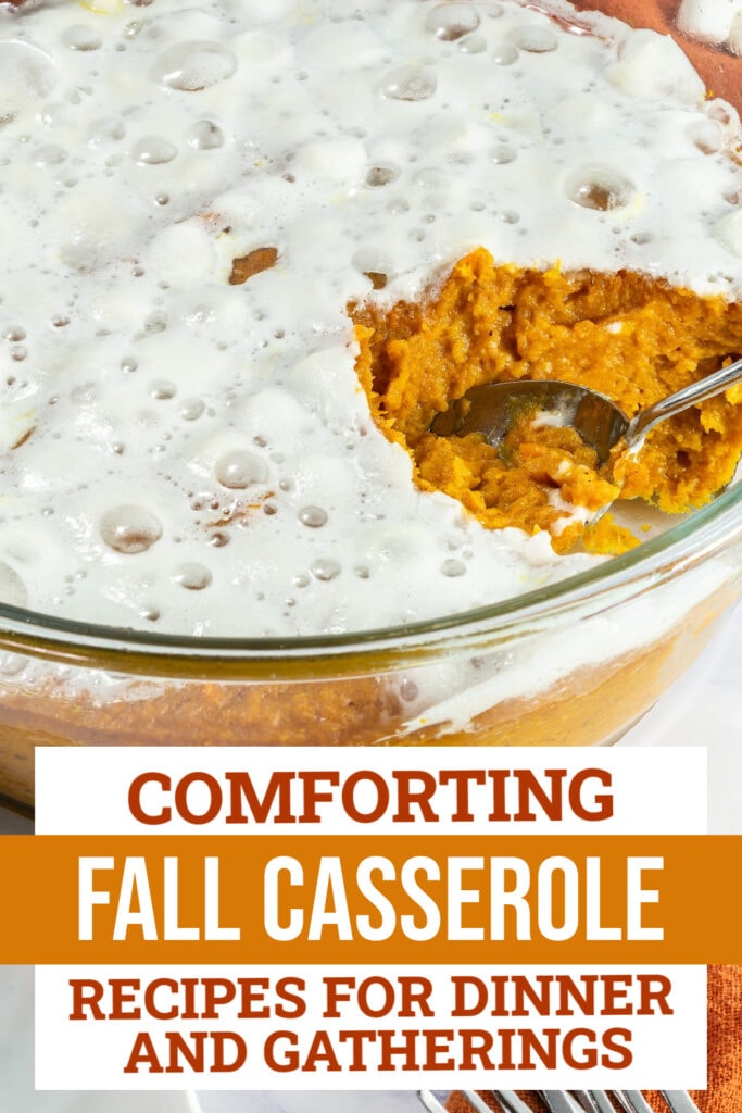 fall casserole recipes - Sweet Potato Casserole Side Dish copy
