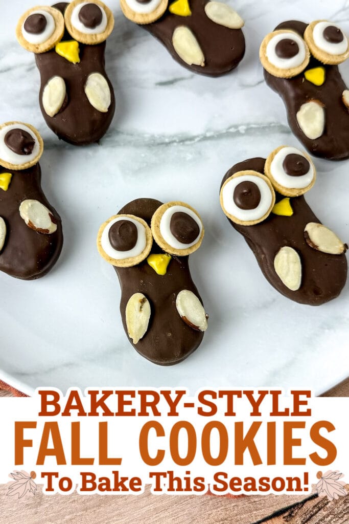 fall cookies - Nutter Butter Owl Cookies