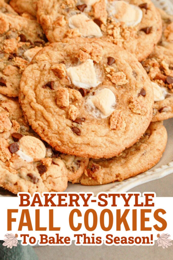 fall cookies - S’more Cookies