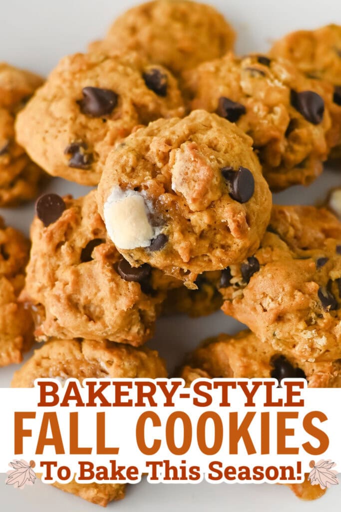 fall cookies - Soft Pumpkin S'mores Cookies
