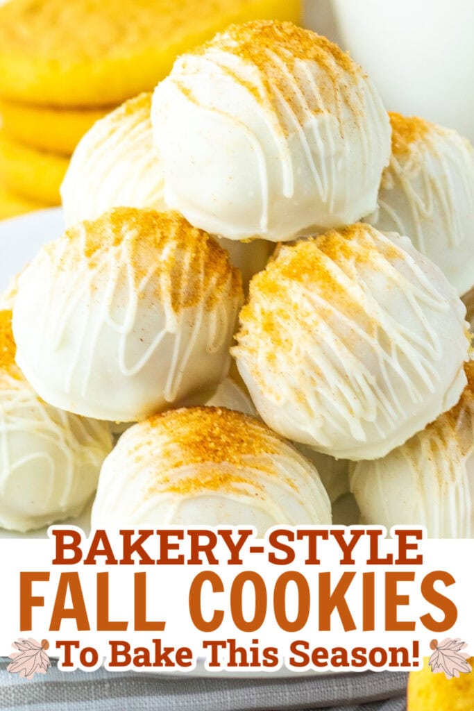 fall cookies - Soft Snickerdoodle Truffles