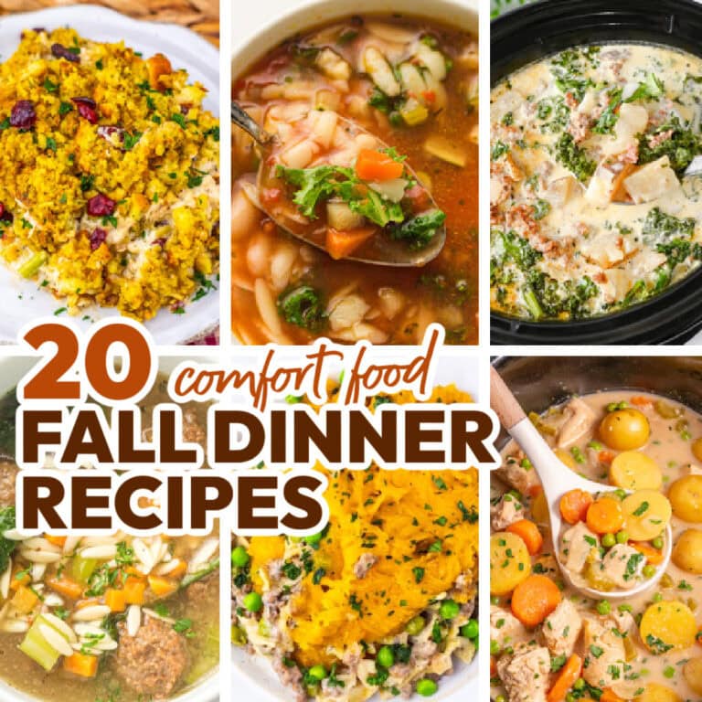fall dinner ideas featured image copy