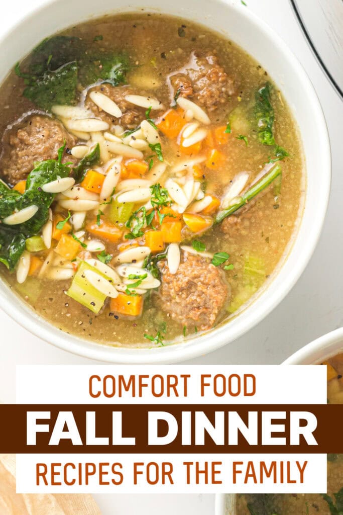 fall dinners - Slow Cooker Italian Wedding Soup copy
