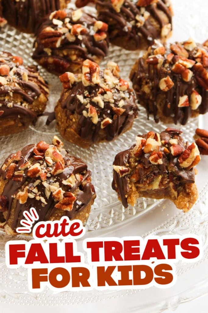 fall treats for kids - Chocolate-Dipped Pecan Pie Balls copy