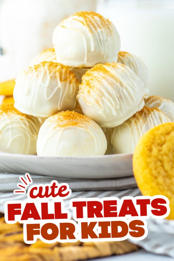 fall treats for kids - Soft Snickerdoodle Truffles copy
