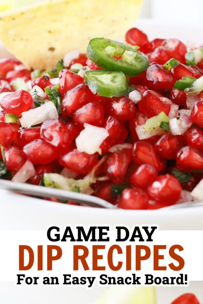 game day dips - Fresh Pomegranate Salsa copy