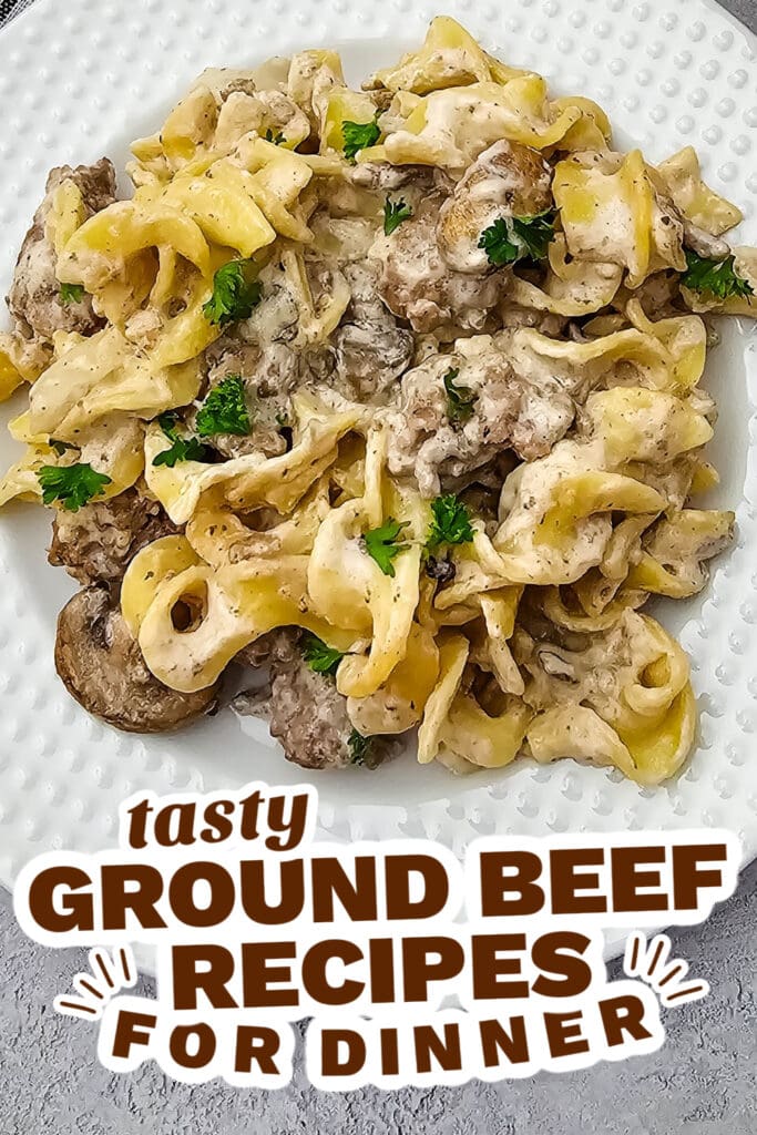 ground beef recipes - Cheesy Beef Stroganoff Casserole