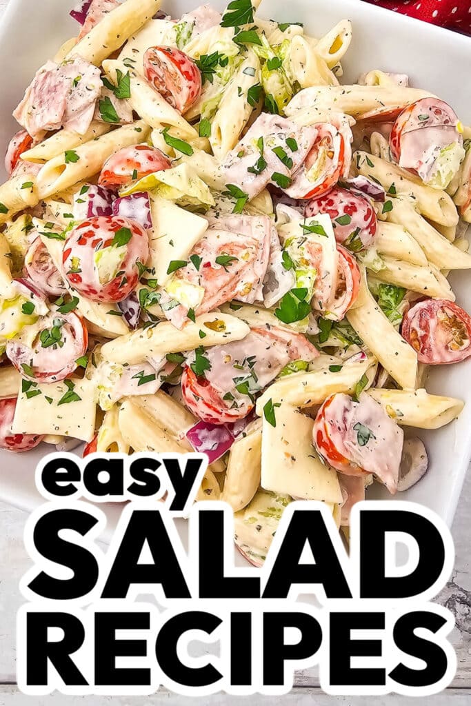 1salad recipes -Italian Hoagie Pasta Salad