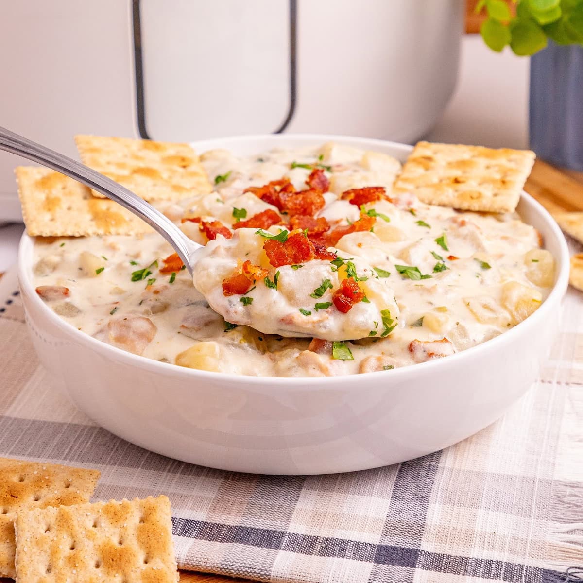 Slow Cooker Clam Chowder featured image copy