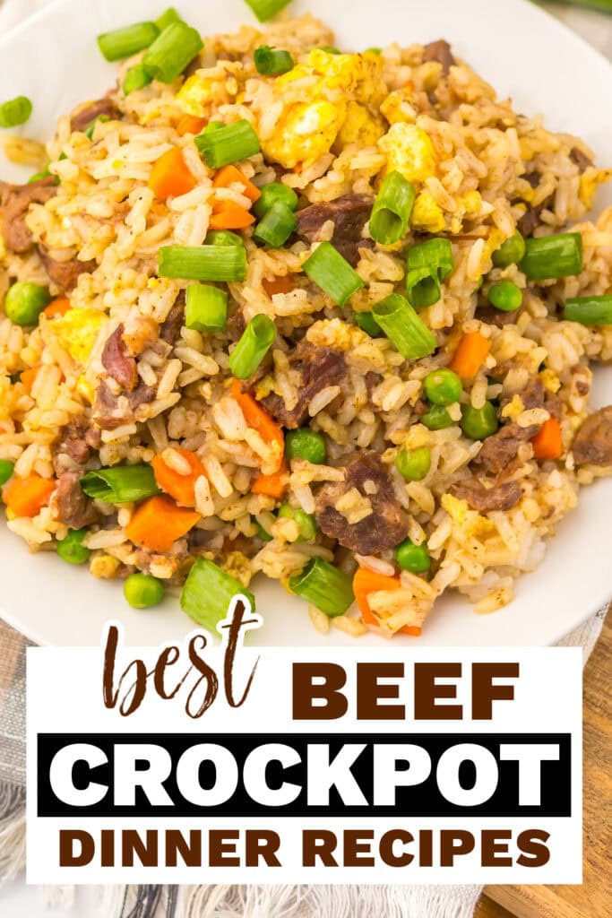 beef crockpot recipes - Slow Cooker Beef Fried Rice copy