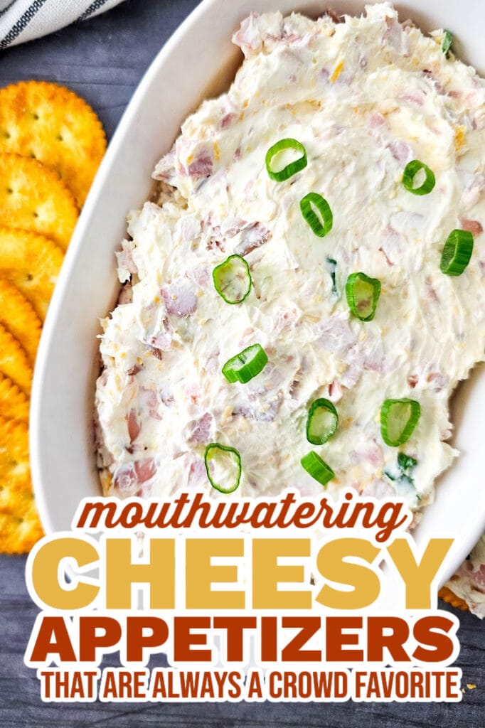 cheesy appetizers - Cheesy Ham Dip
