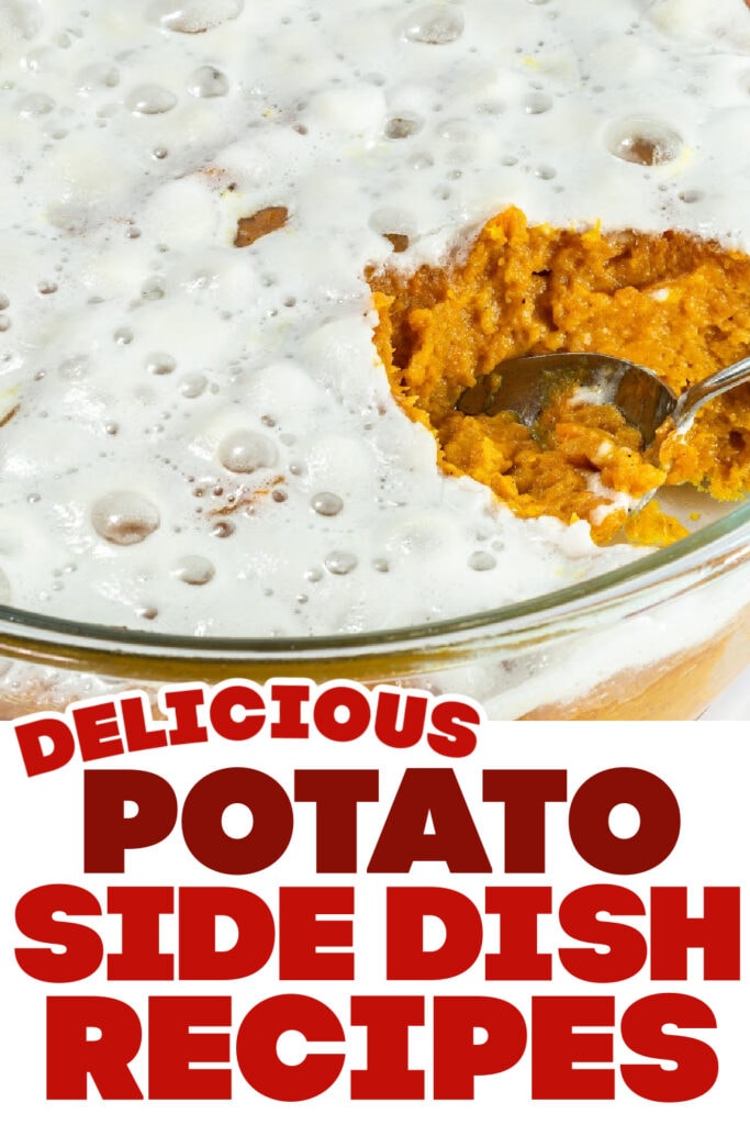 potato side dish ideas - Sweet Potato Casserole Side Dish copy