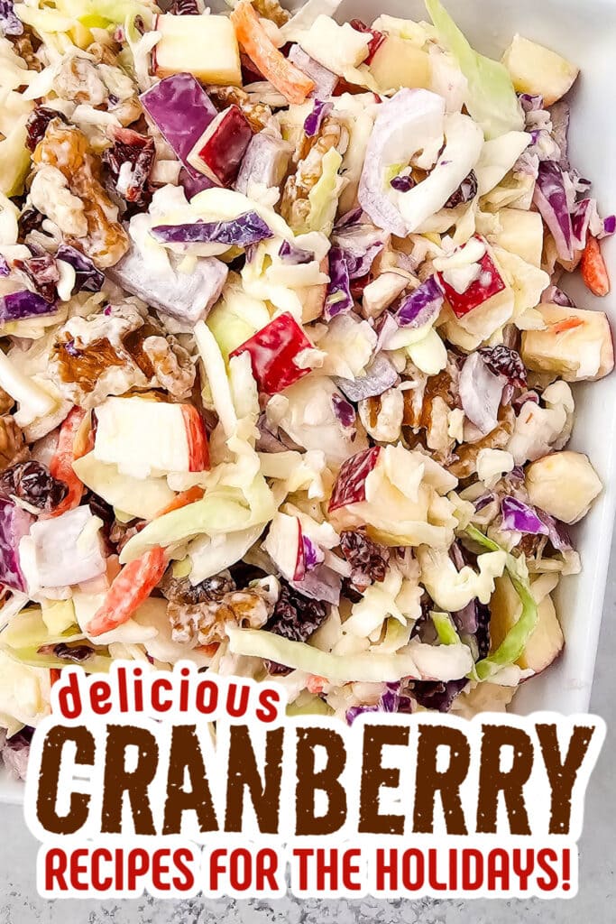 cranberry recipes - Apple Cranberry Coleslaw Salad copy
