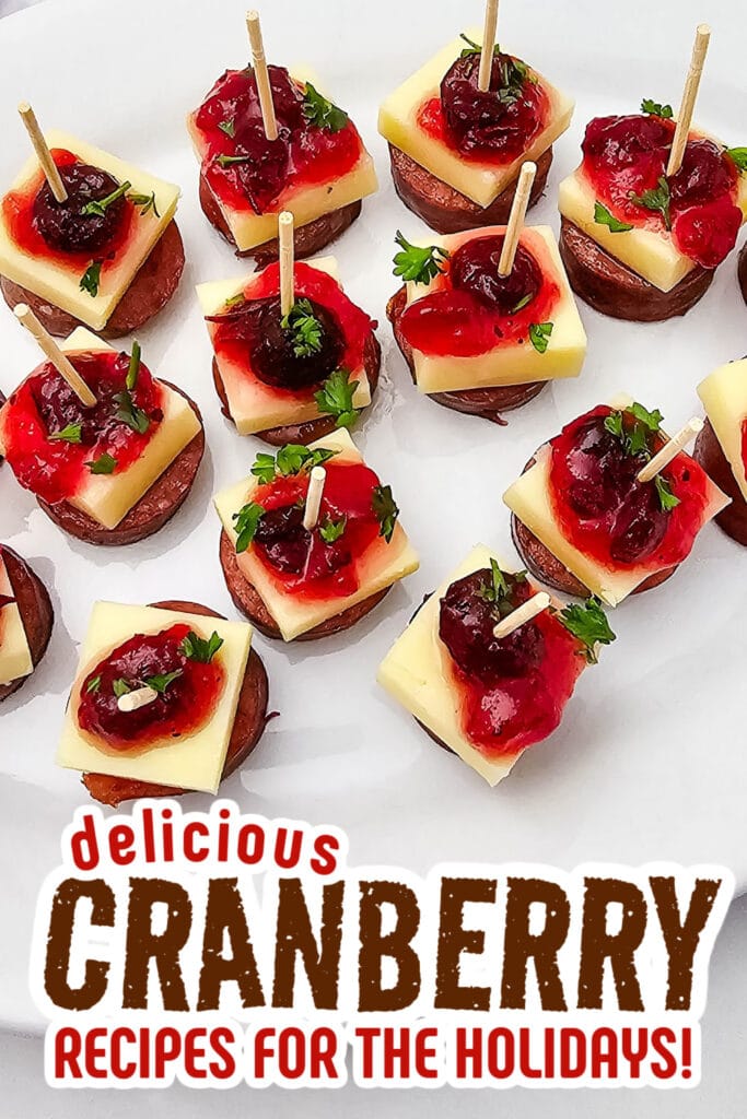 cranberry recipes - Cheesy Sausage Cranberry Skewers copy