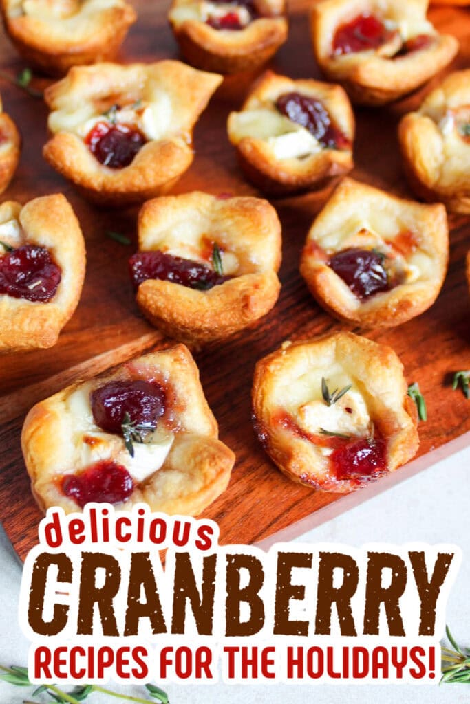 cranberry recipes - Cranberry Brie Bites copy