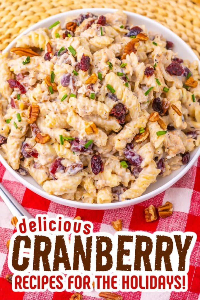 cranberry recipes - Cranberry White Cheddar Chicken Pasta copy