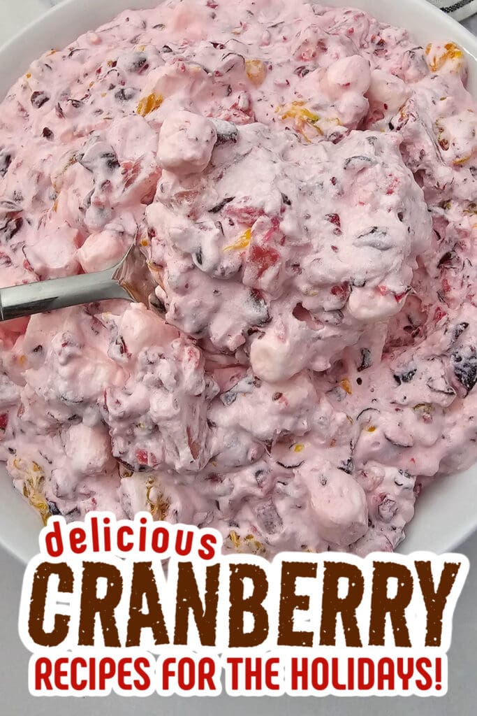 cranberry recipes - Millionaire Cranberry Salad copy