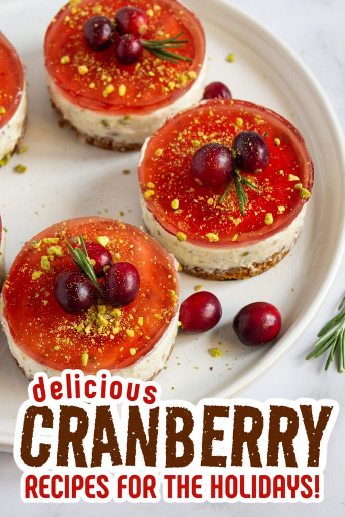 cranberry recipes - Pistachio Cranberry No-Bake Mini Cheesecakes copy
