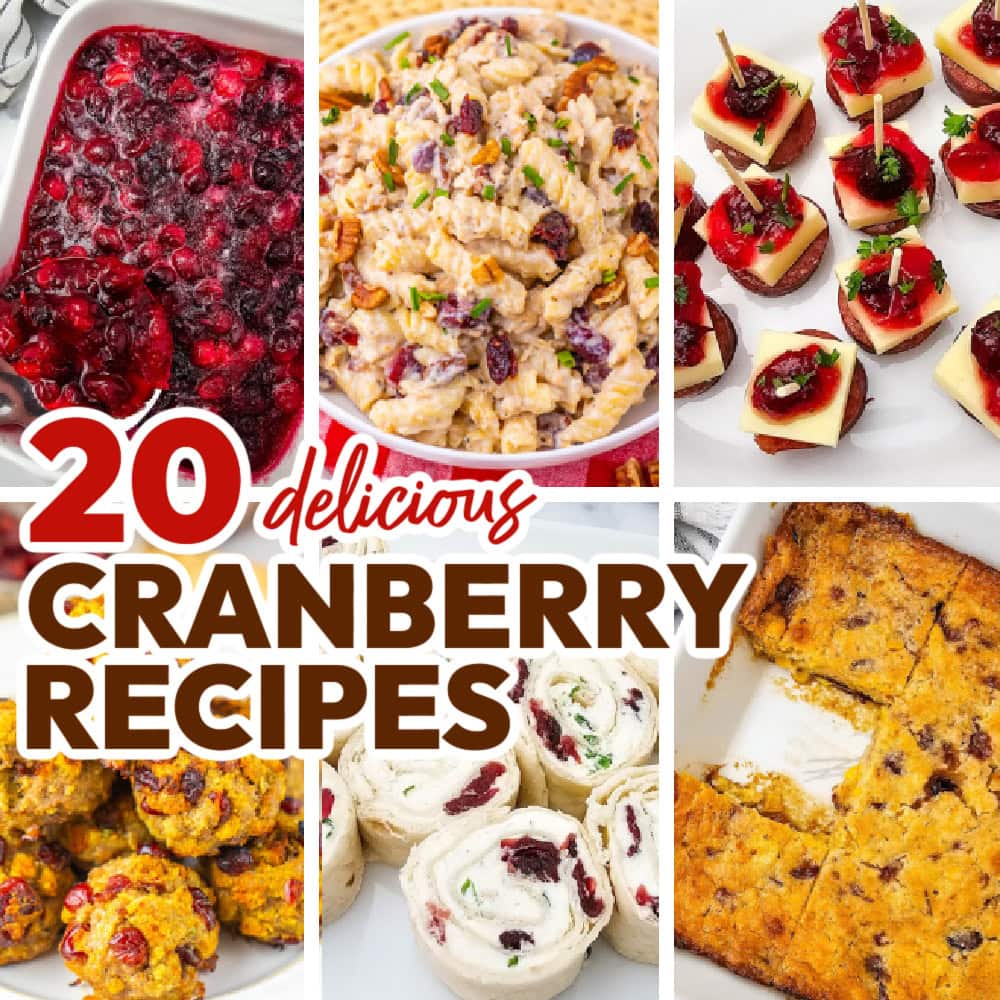 20 Delicious Cranberry Recipes for the Holidays