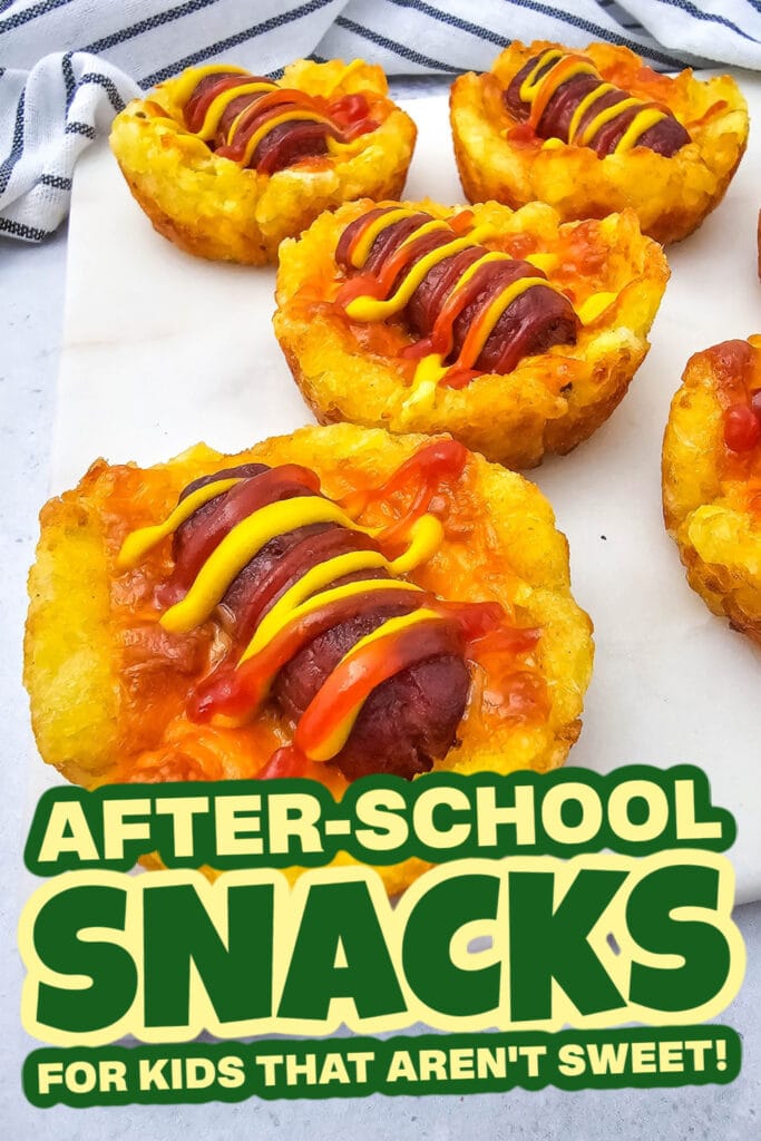 kids school snacks-Lil Smokies Tater Tot Bites