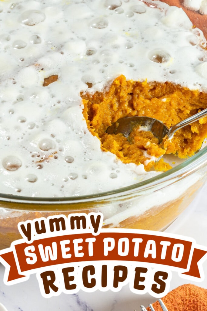 sweet potato recipes - Sweet Potato Casserole Side Dish copy