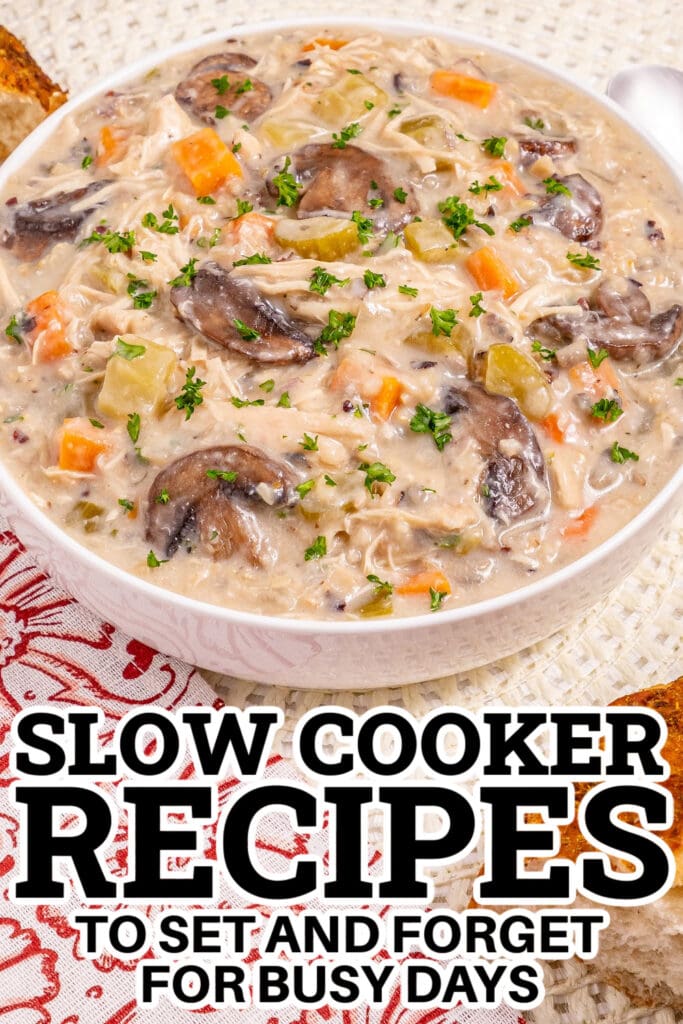 Slow Cooker Recipes -Slow Cooker Chicken Wild Rice Soup copy