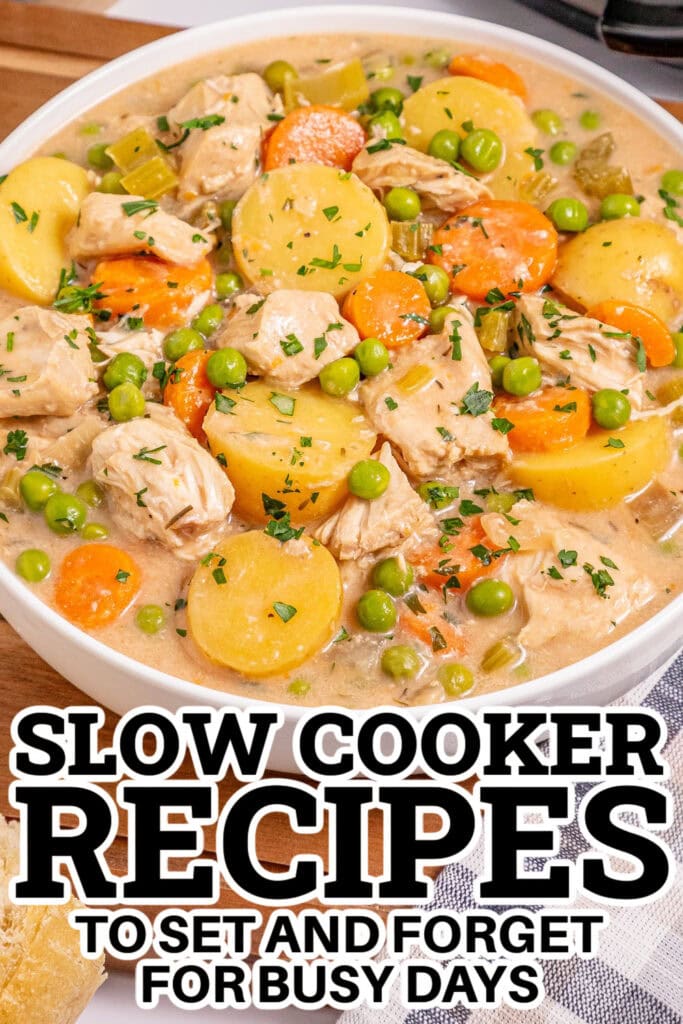 Slow Cooker Recipes - Slow Cooker Creamy Chicken Stew copy
