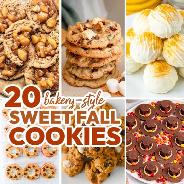 fall cookies featured image copy
