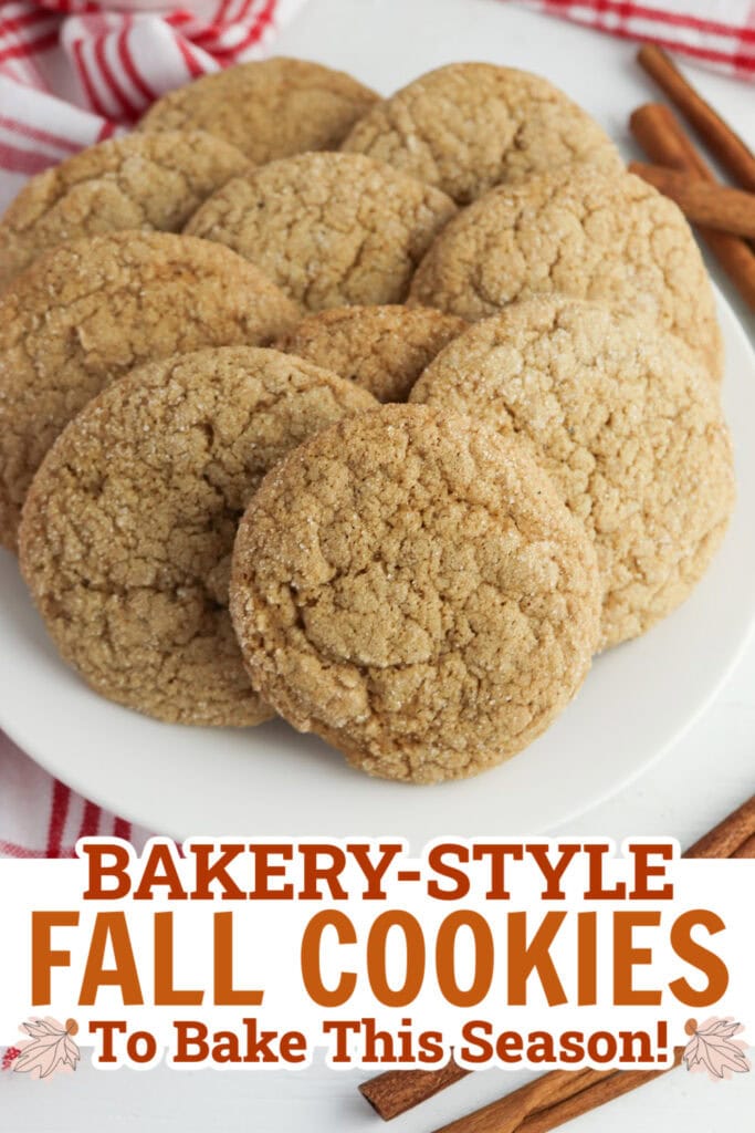 pinned fall cookies - Apple Butter Snickerdoodle Cookies