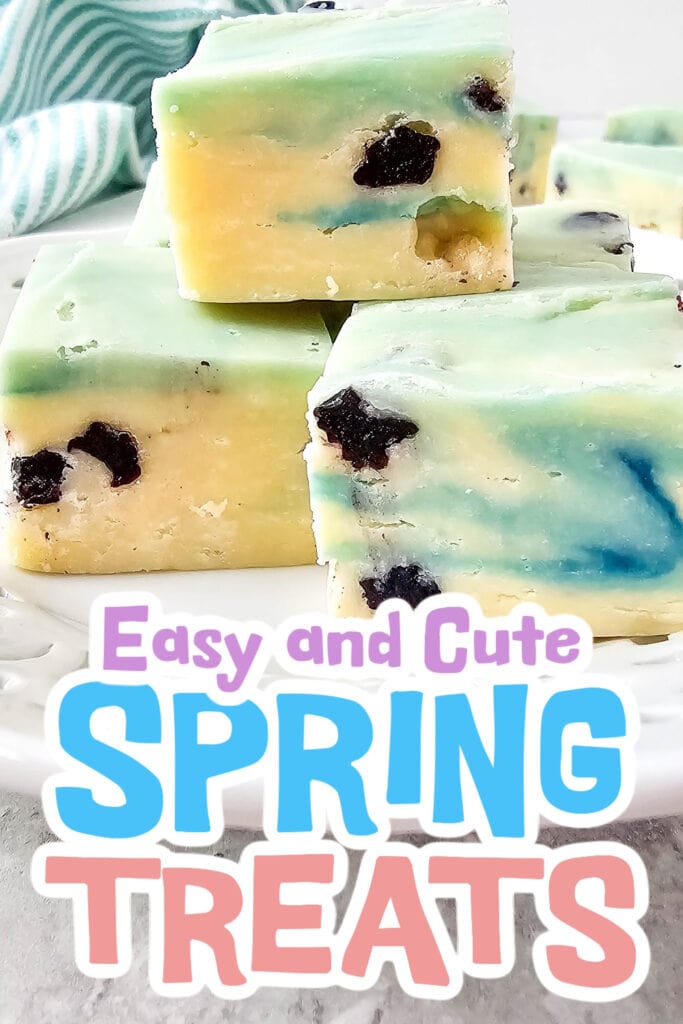 spring treats - Blueberry Fudge copy